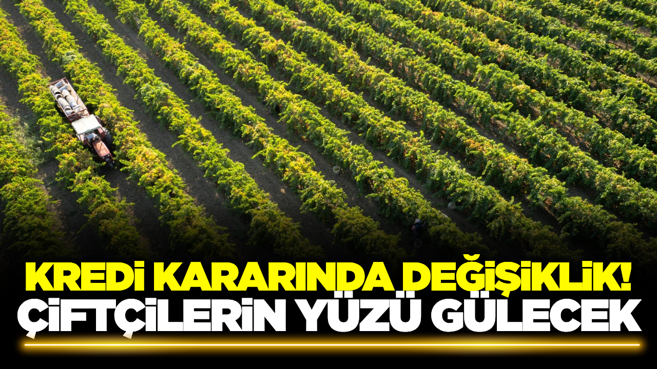 Bu sefer çiftçileri sevindirecek haber geldi!