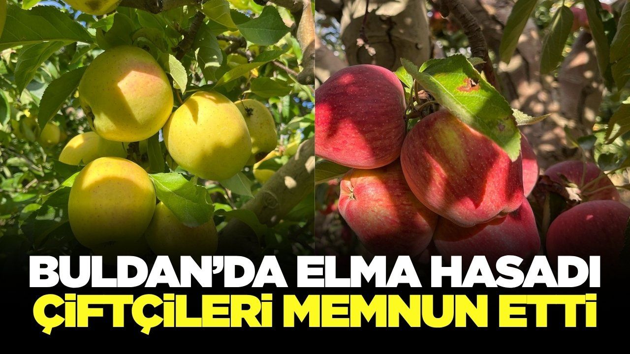 Buldan elmasında verim ve kalite yüz güldürüyor