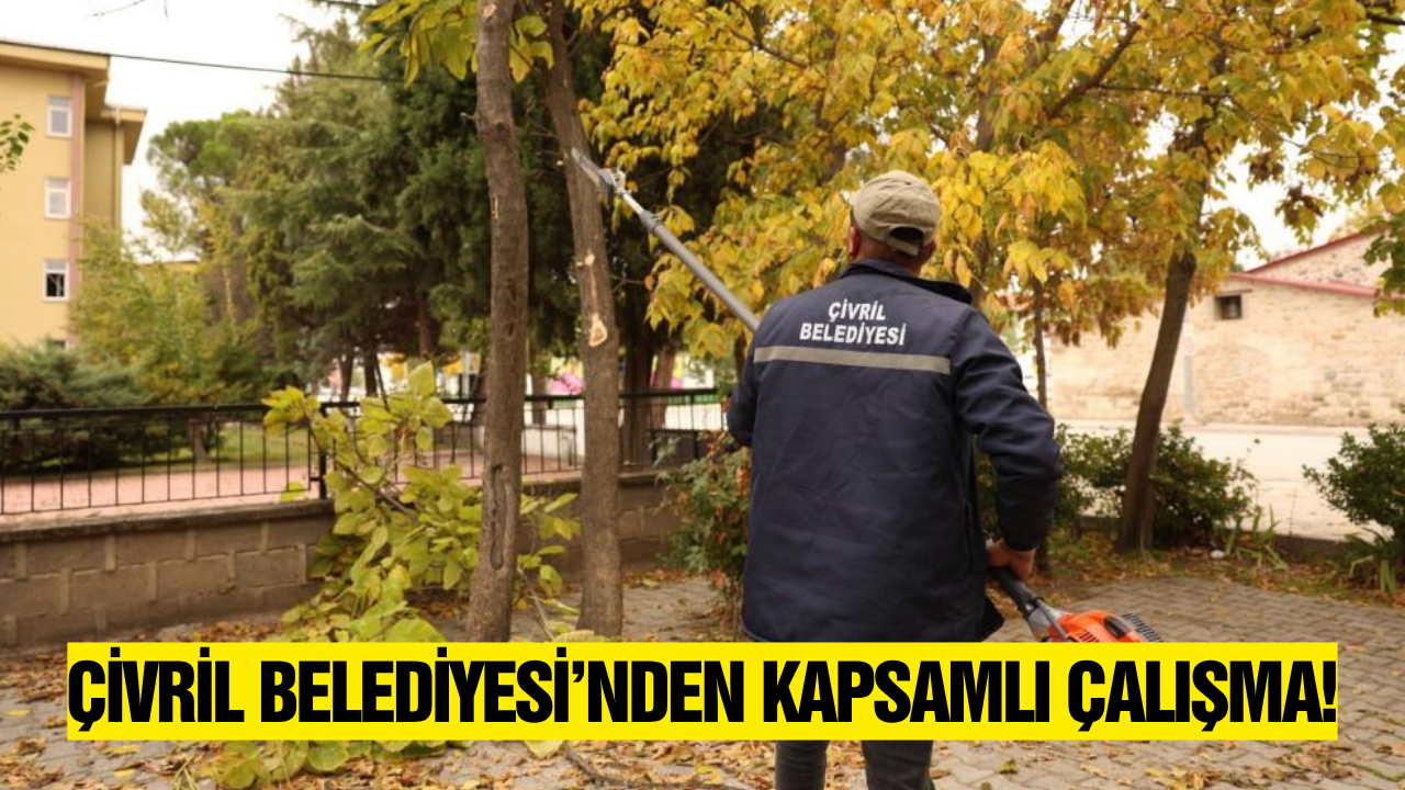 Çivril Belediyesi'nden kapsamlı ağaç budama çalışmaları
