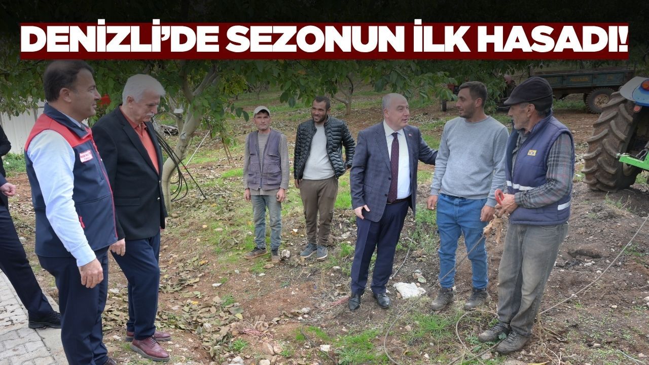 Denizli'de sezonun ilk hasadı yapıldı!