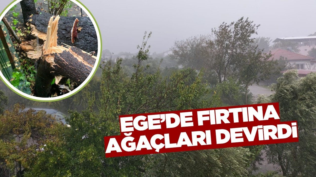 Fırtına ve sağanak hayatı olumsuz etkiledi