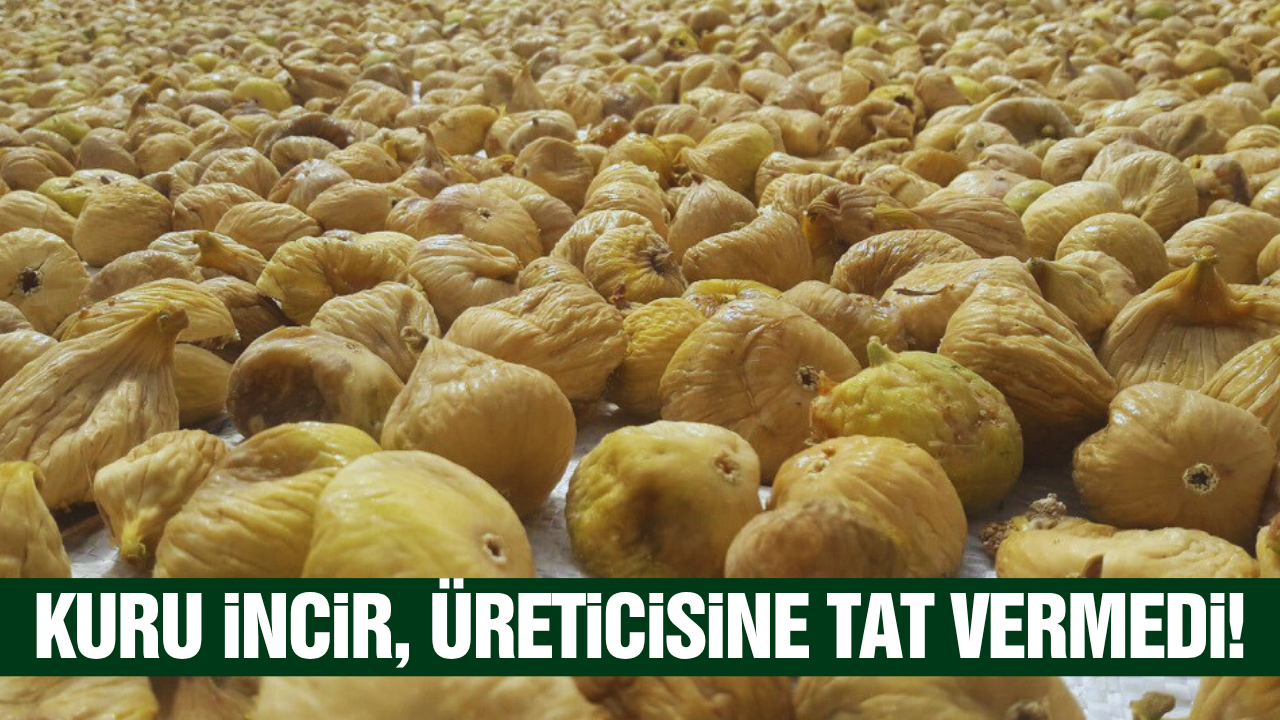 İncir üreticisi zor günler yaşıyor: Ürün elde kaldı, alıcı yok