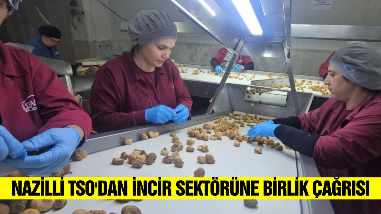 Kuru incirde üretici, tüccar, ihracatçı üçgeni