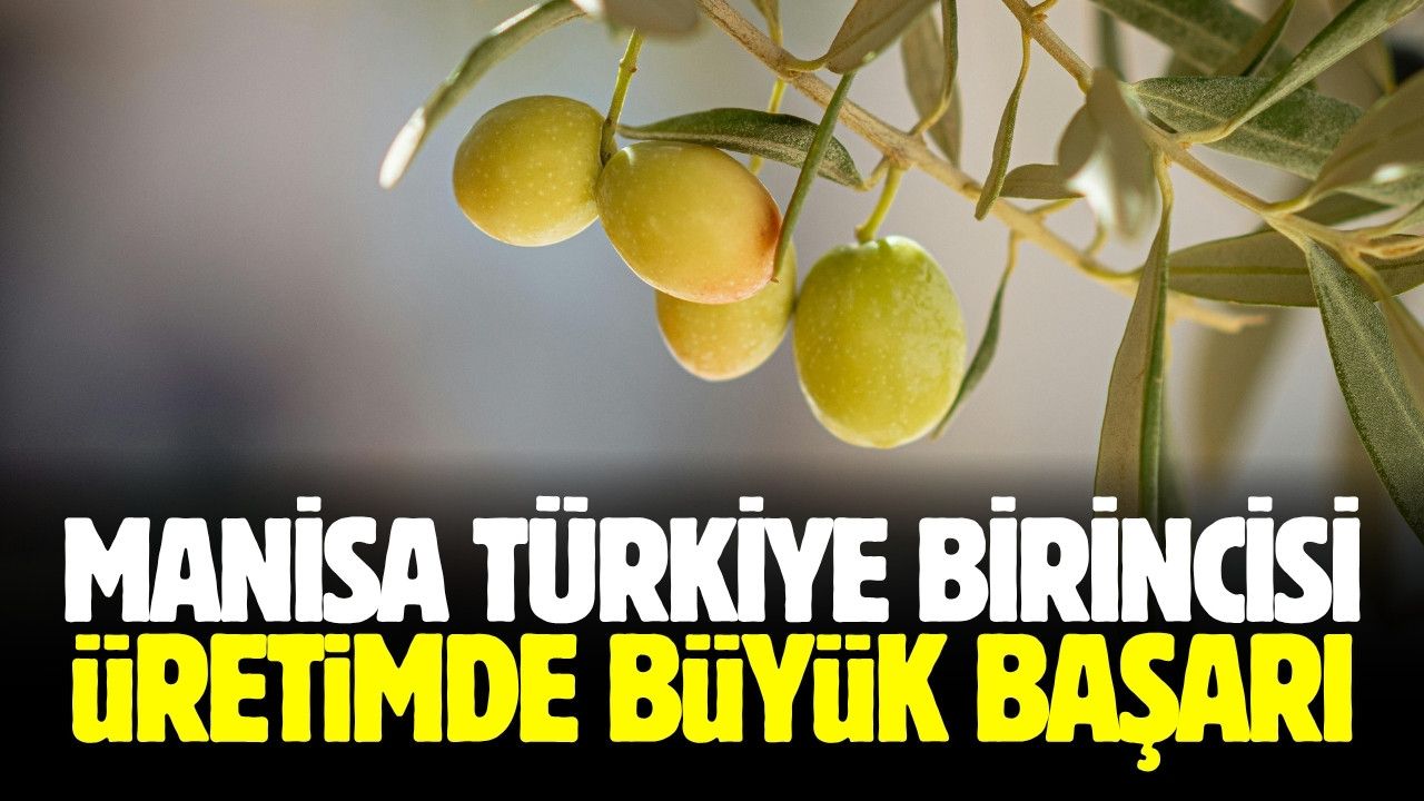 Manisa rekor kırdı! Türkiye birincisi oldu