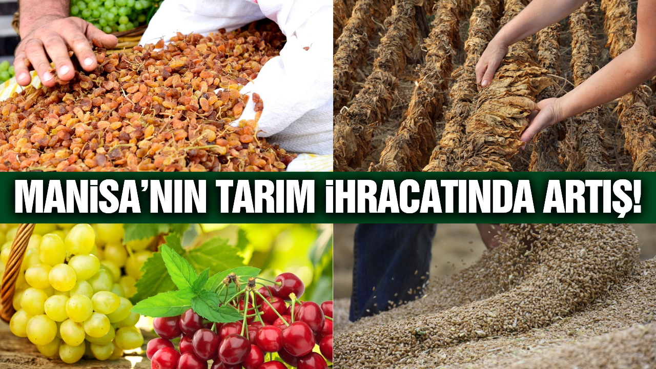 Manisa'nın Tarım İhracatı Yükselişte!