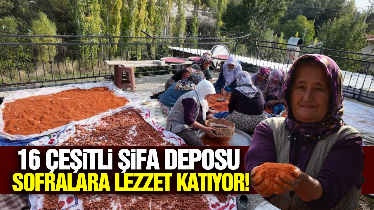 Tam bir şifa deposu: Manisa'da kış sofralarının vazgeçilmezi hazırlanıyor