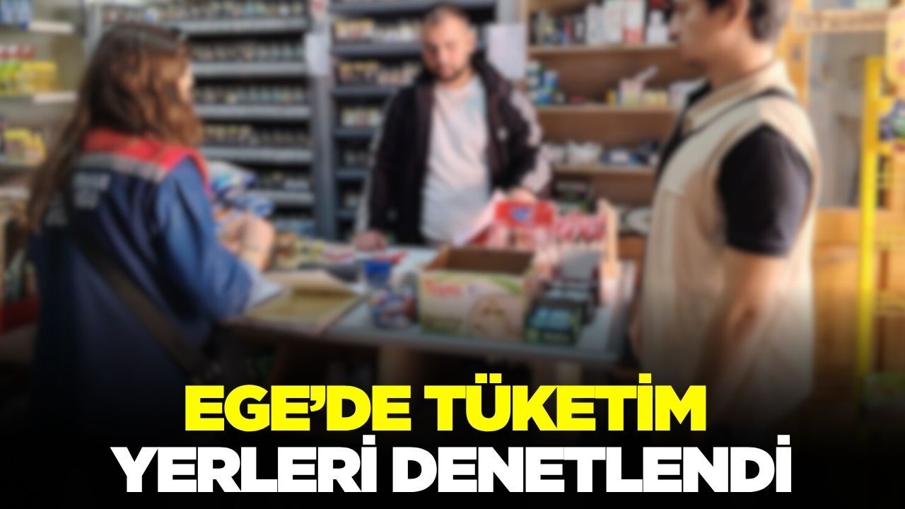 Ege'de gıda satış ve tüketim yerleri denetlendi!