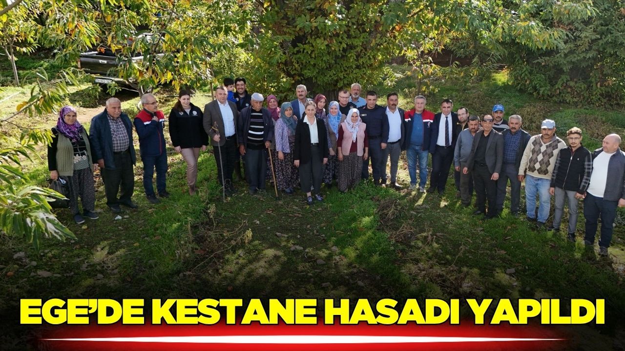 Kaymakam Kan, hasada ortak oldu!