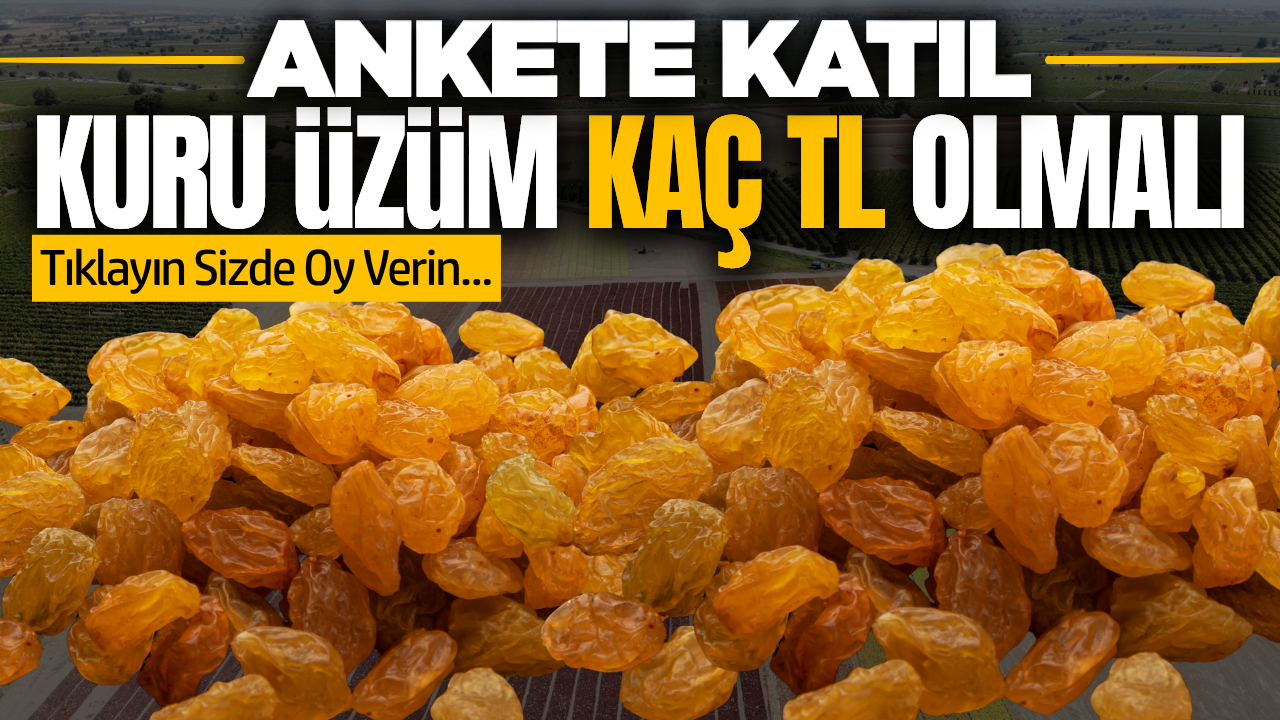 Sizce kuru üzüm kaç TL olmalı?