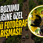 Manisa'da Bağbozumu coşkusu fotoğraf yarışmasıyla taçlanıyor