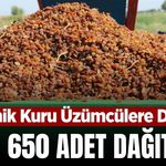 Manisa'da organik kuru üzüm üreticilerine önemli destek