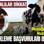 Manisa'da tarım ve hayvancılıkla uğraşanların beklediği haber: Başvurular başladı