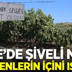 Ege'nin cömert geleneği yaşamaya devam ediyor
