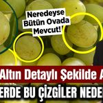 Sarıgöllü üzümcüler ne olduğunu ve neden olduğunu merak ediyordu! Altın yanıtladı