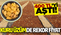 Kuru üzüm fiyatı rekor kırdı!