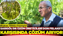 Sarıgöl'de bağcılar zirai dondan nasıl korunur?