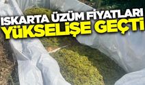 Iskarta üzüm fiyatlarında artış!