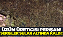 Doğal afetler çiftçinin belini büktü!