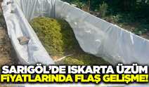 Sarıgöl'de ıskarta üzüm fiyatları yükselişte!