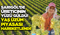 Sarıgöl'de yaş üzüm fiyatları üreticinin yüzünü güldürdü!