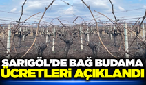Sarıgöl'de bağ budama ücretleri belli oldu