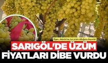 Sarıgöl'de üzüm üreticileri zor günler yaşıyor!