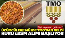 Üzüm piyasasını hareketlendirecek gelişme! TMO alıma başlıyor