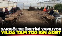 Sarıgöllü kardeşlerden 2 bin 500 kişiye istihdam