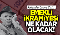 Milyonlarca emekliyi ilgilendiren haber: Rakamlar ortaya çıktı!