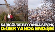 Sarıgöl'de yalancı bahar tedirginliği!