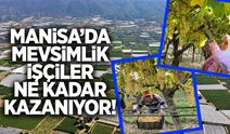 Manisa'da tarım işçileri ne kadar kazanıyor?