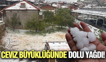 Manisa'da dolu yağışı etkili oldu!
