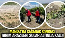 Manisa’da dolu ve sel tarımı vurdu: Bağlarda büyük hasar