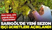 Sarıgöl Ziraat Odası, yeni sezon işçi ücretlerini açıkladı