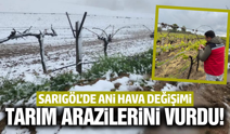 Sarıgöl'de ani hava değişimi üreticiyi vurdu!