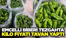 Sarıgöl’ün coğrafi işaretli Emcelli biberi tezgahlarda