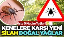 Havalar ısındı kene vakaları arttı! Doğal korunma yöntemleri neler? İşte cevaplar