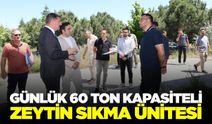 Kula'ya büyük yatırım: 1 günde tonlarca zeytin işleyecek