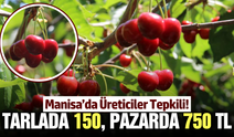 Manisalı üretici fiyat uçurumuna isyan etti: "Aradaki fark 5 kat"