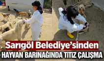 Sarıgöl Belediyesi'nden can dostlara özenli bakım