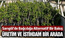 Sarıgöl'de üretiliyor: Türkiye'nin birçok şehrine gidiyor
