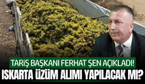 Ferhat Şen açıkladı: TARİŞ ıskarta üzüm alımı yapacak mı?
