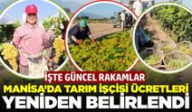 Manisa'da tarım işçi ücretleri belli oldu: İşte güncel liste