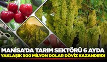 Manisa’da tarım ihracatı yüzleri güldürüyor
