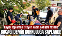 Manisa'da kayısı toplamak isteyen kadın hastanelik oldu!