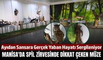 Manisalıların Mutlaka Görmesi Gereken Bir Nokta!