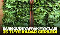 Sarıgöl'de yaprak fiyatları dibe çakıldı!