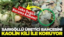 Sarıgöllü üreticiden kavurucu sıcaklara karşı doğal koruma yöntemi