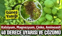 Uzmanından bağcılara uyarı: 40 dereceye dikkat