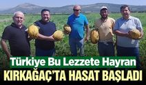 Kırkağaç'ta Kavun Hasadı Başladı! Başkan Dönmez'de Hasada Katıldı